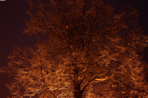 Kliknij na zdjęcie, żeby zobaczyć w pełnych wymiarach