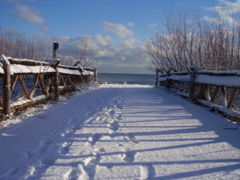 Kliknij na zdjęcie, żeby zobaczyć w pełnych wymiarach