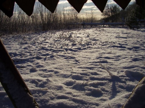 Kliknij na zdjęcie, żeby zobaczyć w pełnych wymiarach