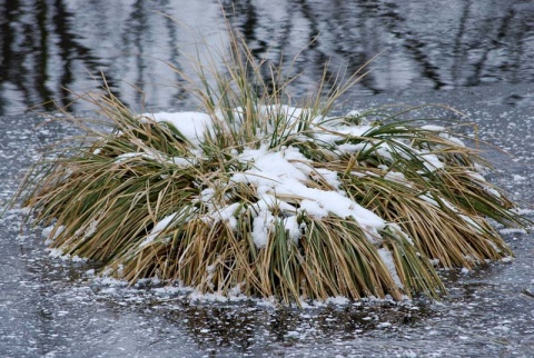 Kliknij na zdjęcie, żeby zobaczyć w pełnych wymiarach
