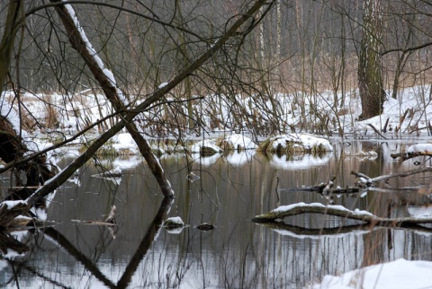Kliknij na zdjęcie, żeby zobaczyć w pełnych wymiarach