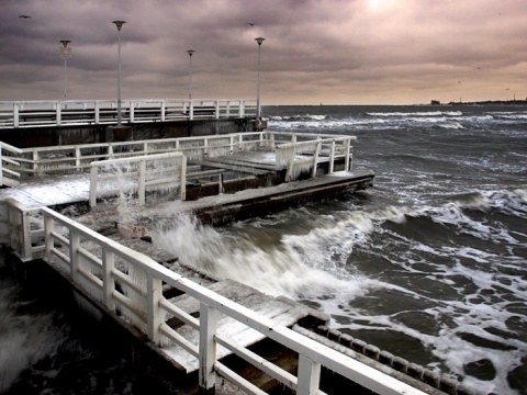 Kliknij na zdjęcie, żeby zobaczyć w pełnych wymiarach