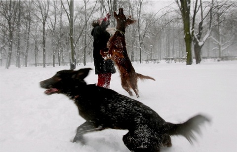 Kliknij na zdjęcie, żeby zobaczyć w pełnych wymiarach