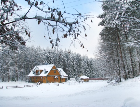 Kliknij na zdjęcie, żeby zobaczyć w pełnych wymiarach
