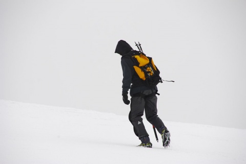 Kliknij na zdjęcie, żeby zobaczyć w pełnych wymiarach