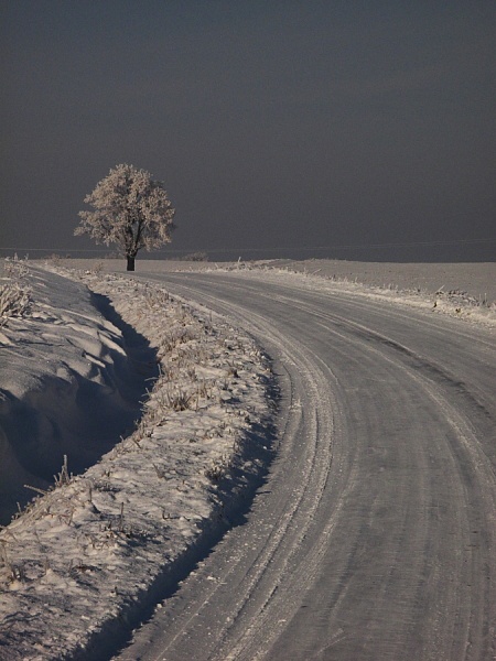 Kliknij na zdjęcie, żeby zobaczyć w pełnych wymiarach