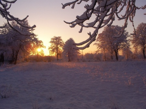Kliknij na zdjęcie, żeby zobaczyć w pełnych wymiarach