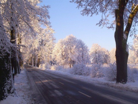 Kliknij na zdjęcie, żeby zobaczyć w pełnych wymiarach