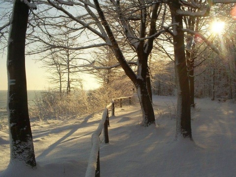 Kliknij na zdjęcie, żeby zobaczyć w pełnych wymiarach