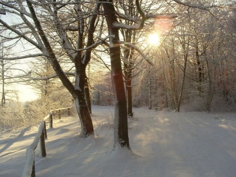 Kliknij na zdjęcie, żeby zobaczyć w pełnych wymiarach
