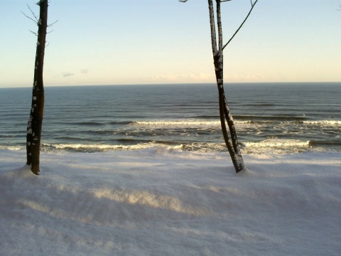 Kliknij na zdjęcie, żeby zobaczyć w pełnych wymiarach