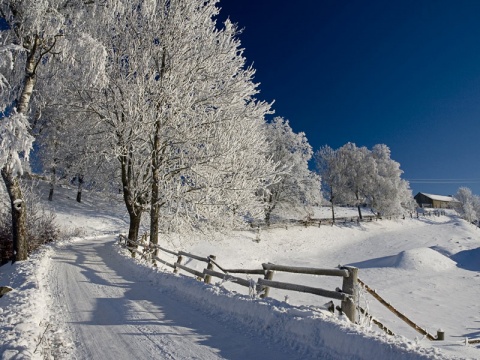 Kliknij na zdjęcie, żeby zobaczyć w pełnych wymiarach