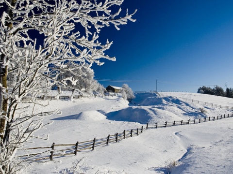 Kliknij na zdjęcie, żeby zobaczyć w pełnych wymiarach