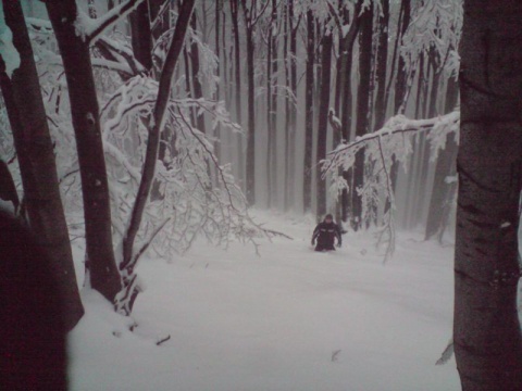 Kliknij na zdjęcie, żeby zobaczyć w pełnych wymiarach