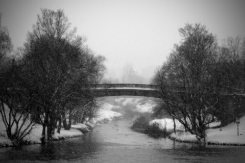 Kliknij na zdjęcie, żeby zobaczyć w pełnych wymiarach