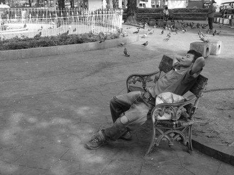 Kliknij na zdjęcie, żeby zobaczyć w pełnych wymiarach