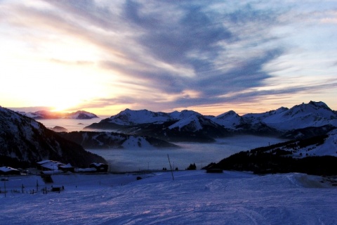 Kliknij na zdjęcie, żeby zobaczyć w pełnych wymiarach