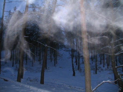 Kliknij na zdjęcie, żeby zobaczyć w pełnych wymiarach
