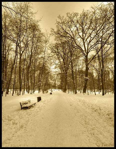 Kliknij na zdjęcie, żeby zobaczyć w pełnych wymiarach