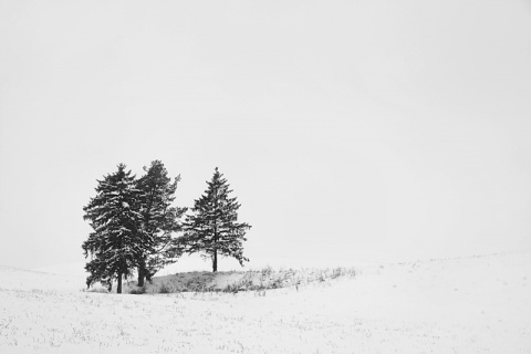 Kliknij na zdjęcie, żeby zobaczyć w pełnych wymiarach