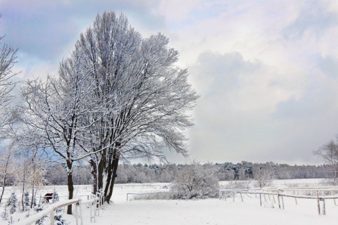 Kliknij na zdjęcie, żeby zobaczyć w pełnych wymiarach