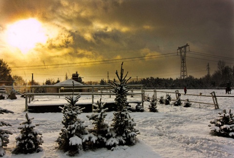Kliknij na zdjęcie, żeby zobaczyć w pełnych wymiarach
