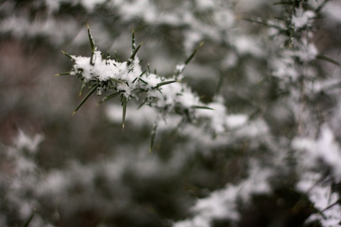 Kliknij na zdjęcie, żeby zobaczyć w pełnych wymiarach