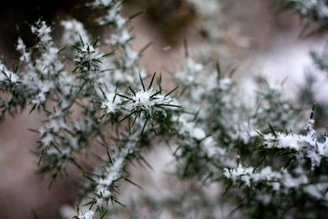 Kliknij na zdjęcie, żeby zobaczyć w pełnych wymiarach