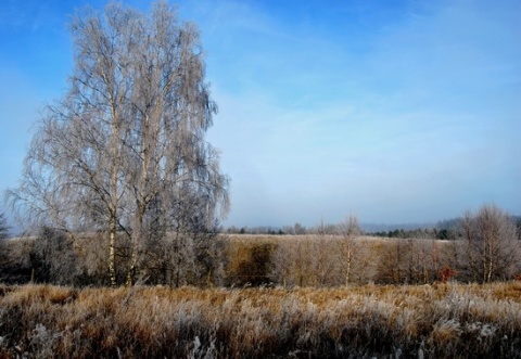 Kliknij na zdjęcie, żeby zobaczyć w pełnych wymiarach