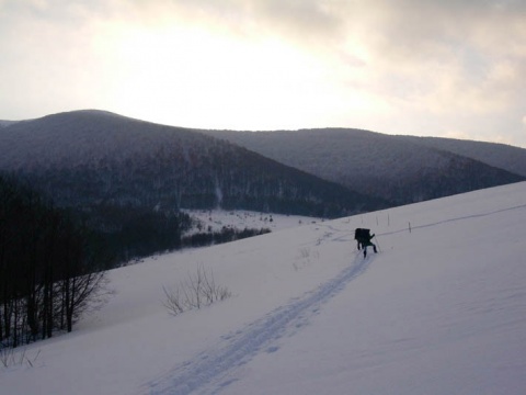Kliknij na zdjęcie, żeby zobaczyć w pełnych wymiarach