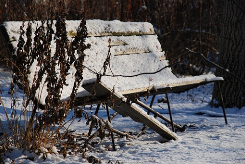 Kliknij na zdjęcie, żeby zobaczyć w pełnych wymiarach