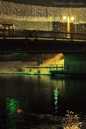 Kliknij na zdjęcie, żeby zobaczyć w pełnych wymiarach