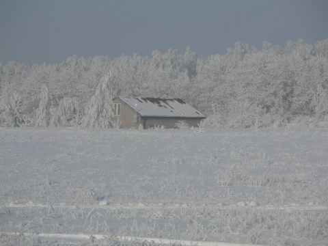 Kliknij na zdjęcie, żeby zobaczyć w pełnych wymiarach