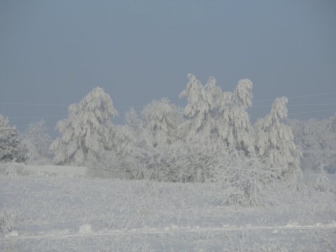 Kliknij na zdjęcie, żeby zobaczyć w pełnych wymiarach