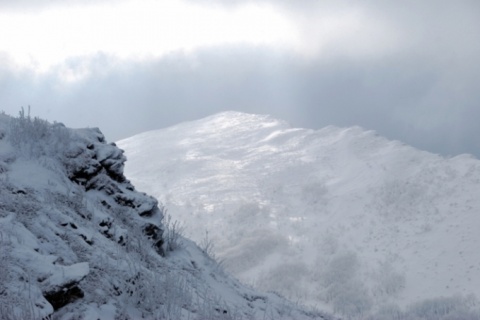 Kliknij na zdjęcie, żeby zobaczyć w pełnych wymiarach