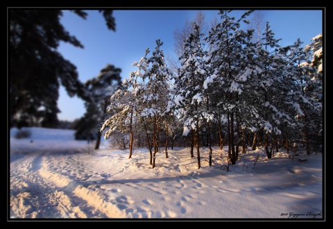 Kliknij na zdjęcie, żeby zobaczyć w pełnych wymiarach