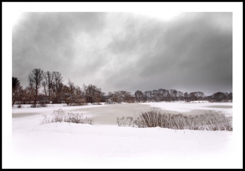 Kliknij na zdjęcie, żeby zobaczyć w pełnych wymiarach