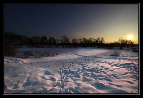 Kliknij na zdjęcie, żeby zobaczyć w pełnych wymiarach