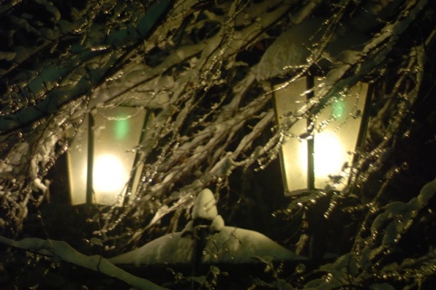 Kliknij na zdjęcie, żeby zobaczyć w pełnych wymiarach