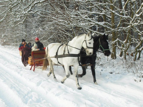 Kliknij na zdjęcie, żeby zobaczyć w pełnych wymiarach