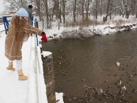Kliknij na zdjęcie, żeby zobaczyć w pełnych wymiarach