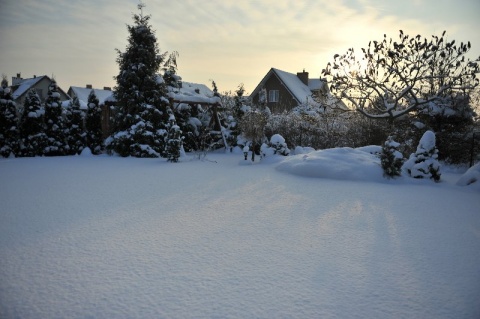 Kliknij na zdjęcie, żeby zobaczyć w pełnych wymiarach