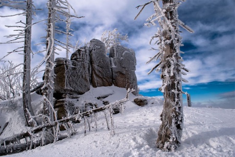 Kliknij na zdjęcie, żeby zobaczyć w pełnych wymiarach