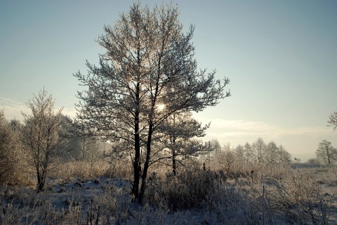 Kliknij na zdjęcie, żeby zobaczyć w pełnych wymiarach