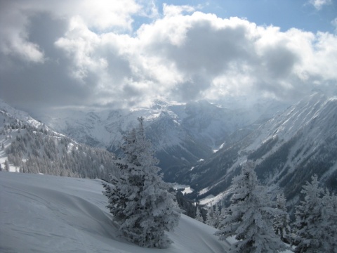 Kliknij na zdjęcie, żeby zobaczyć w pełnych wymiarach