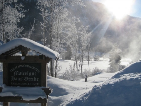 Kliknij na zdjęcie, żeby zobaczyć w pełnych wymiarach