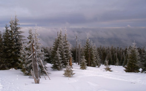 Kliknij na zdjęcie, żeby zobaczyć w pełnych wymiarach
