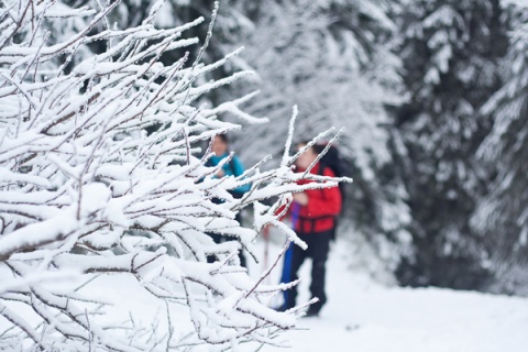 Kliknij na zdjęcie, żeby zobaczyć w pełnych wymiarach
