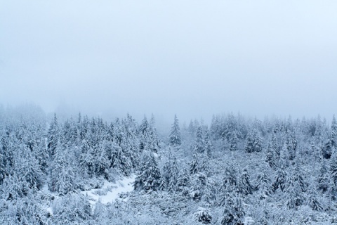 Kliknij na zdjęcie, żeby zobaczyć w pełnych wymiarach
