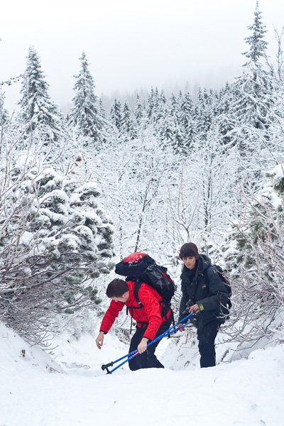 Kliknij na zdjęcie, żeby zobaczyć w pełnych wymiarach